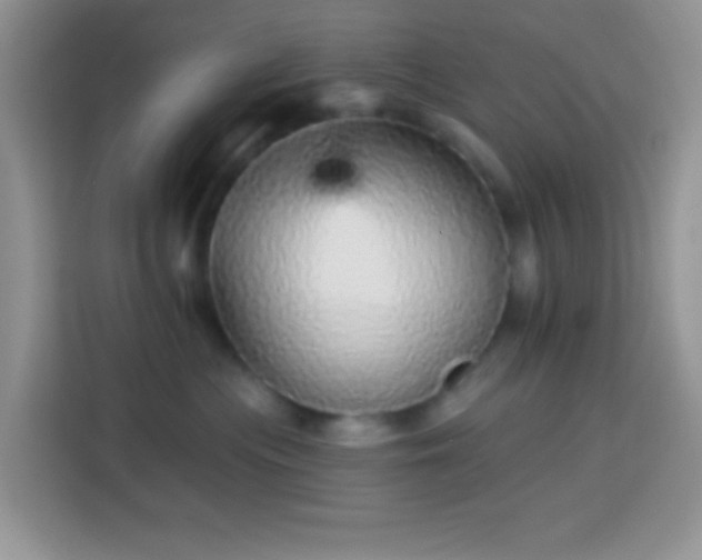 X0000113880477200910011136