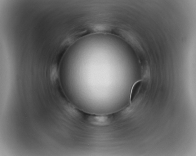 X0000113880478200910011136