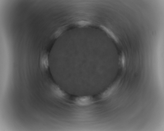 X0000113880479200910011136