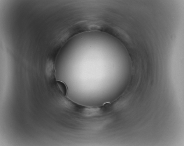 X0000113880480200910011136