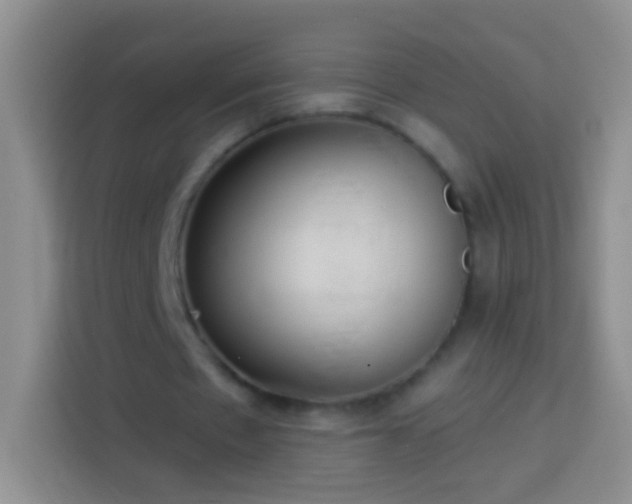 X0000113880481200910011135