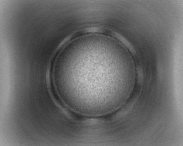 X0000113880482200910011135