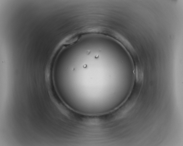 X0000113880483200910011135