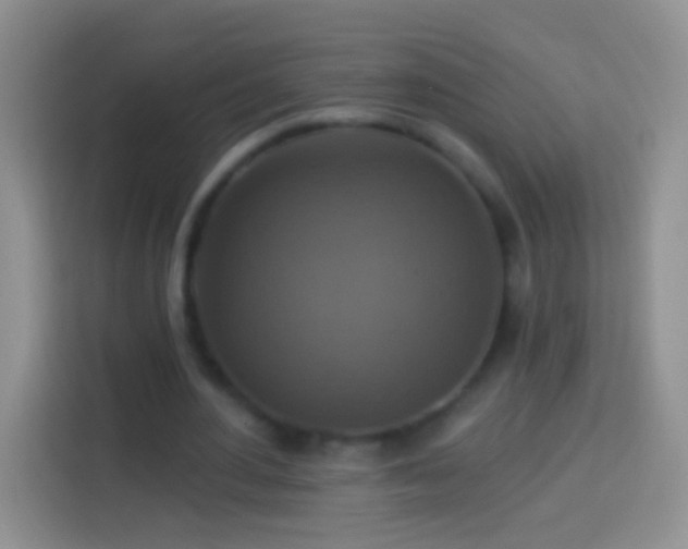 X0000113880484200910011135