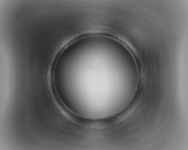 X0000113880485200910011135