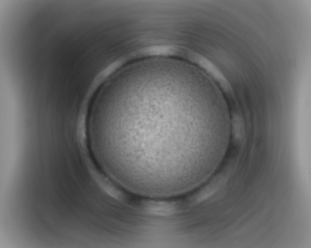 X0000113880486200910011135