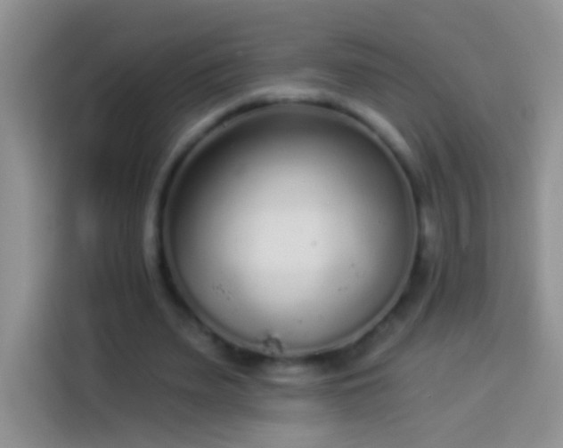 X0000113880487200910011135