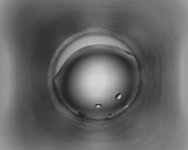 X0000113880488200910011135