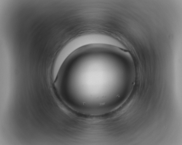 X0000113880489200910011135