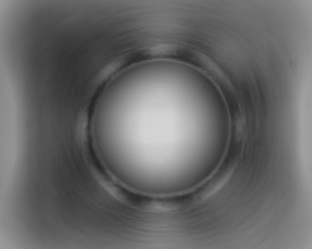 X0000113880490200910011135