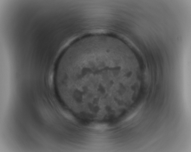 X0000113880491200910011135