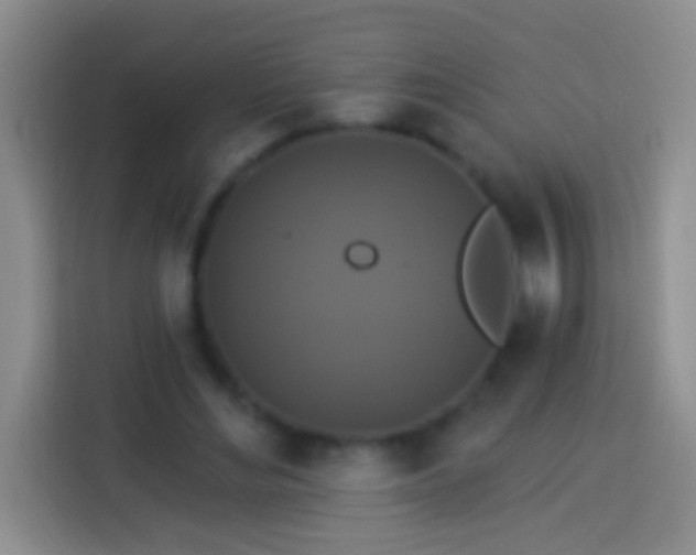 X0000113880492200910011135