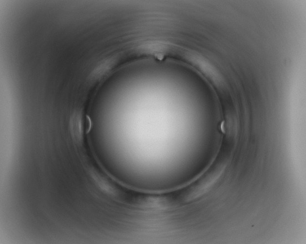 X0000113880493200910011135