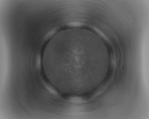 X0000113880494200910011135