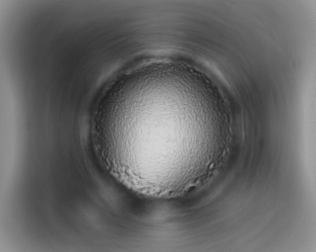 X0000113880495200910011135