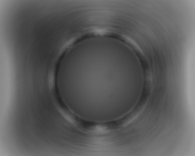 X0000113880496200910011135