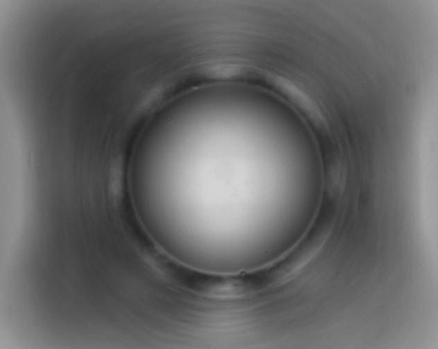 X0000113880497200910011135