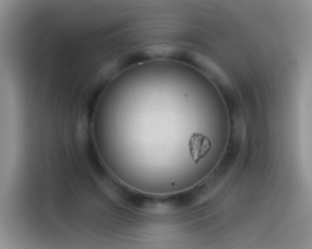 X0000113880498200910011135