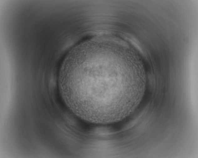 X0000113880499200910011135