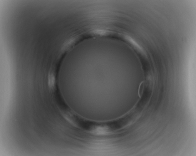 X0000113880500200910011135