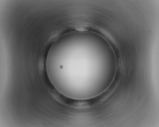 X0000113880501200910011135