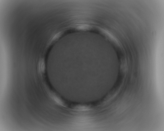 X0000113880502200910011135