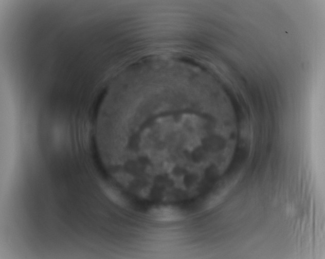 X0000113880503200910011135