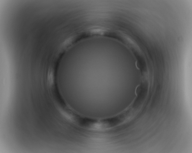 X0000113880504200910011135