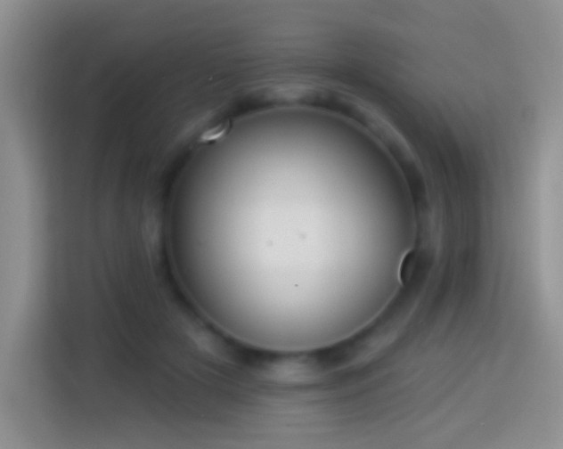 X0000113880505200910011135