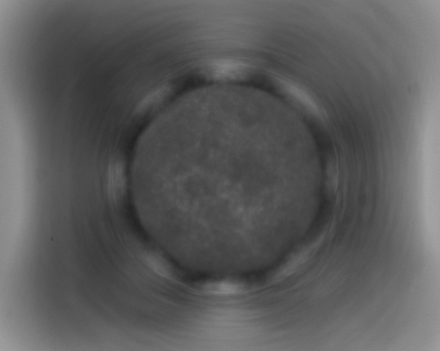 X0000113880506200910011135