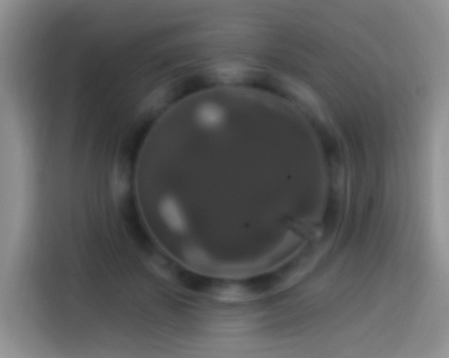 X0000113880507200910011135