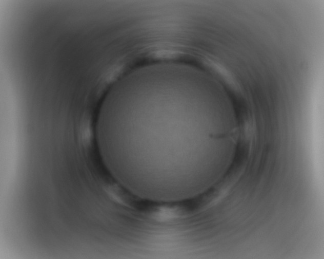 X0000113880508200910011135