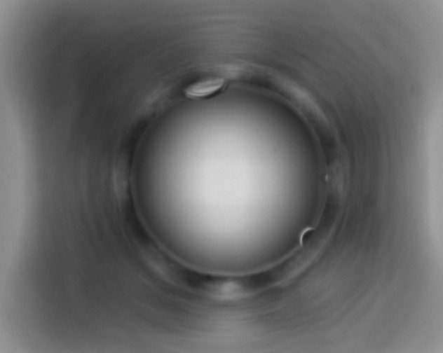 X0000113880509200910011135