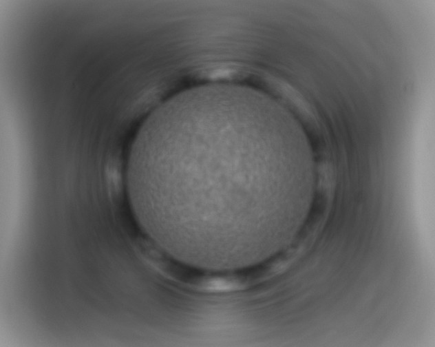 X0000113880510200910011135