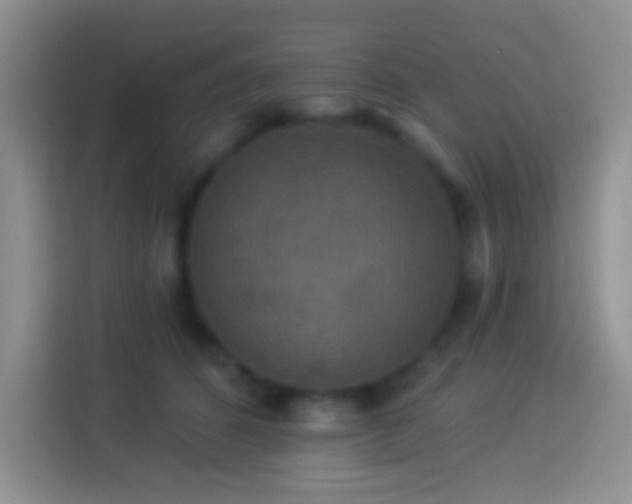 X0000113880512200910011135