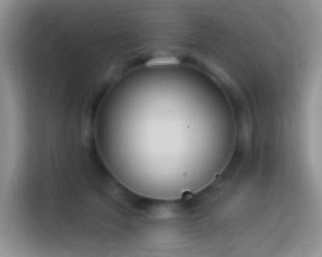 X0000113880513200910011135