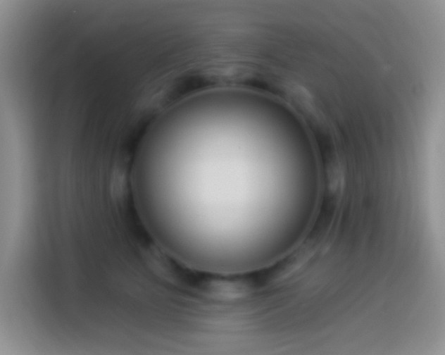 X0000113880515200910011135