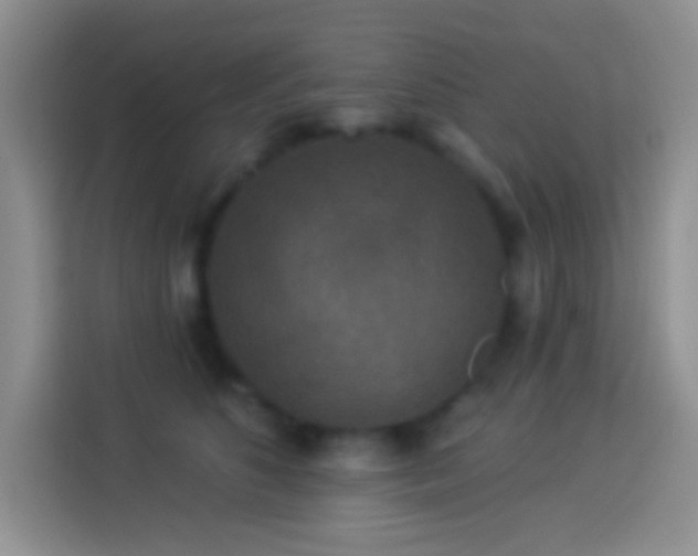 X0000113880516200910011135