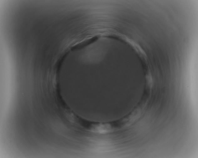 X0000113880517200910011135