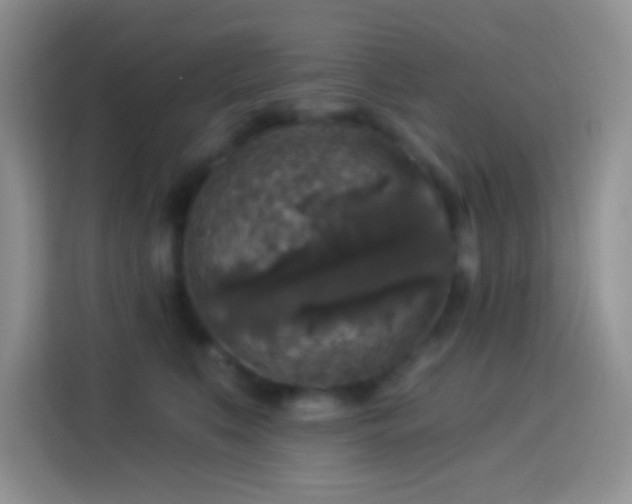 X0000113880519200910011135