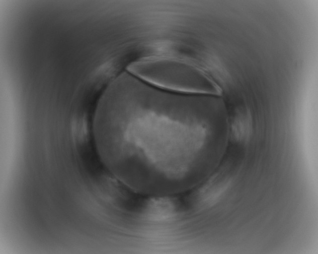 X0000113880520200910011135