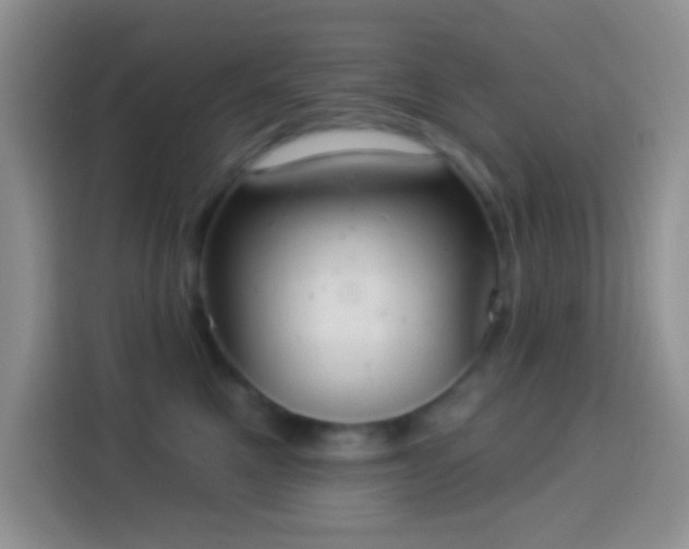 X0000113880521200910011135