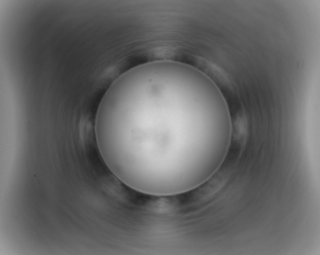 X0000113880522200910011135