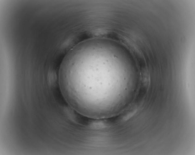 X0000113880523200910011135