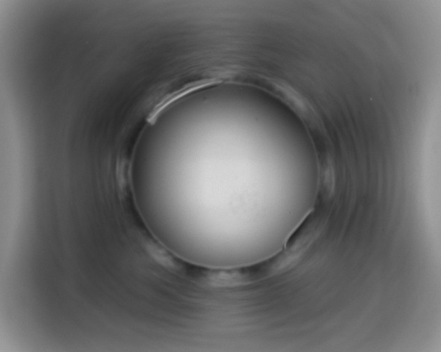 X0000113880525200910011135