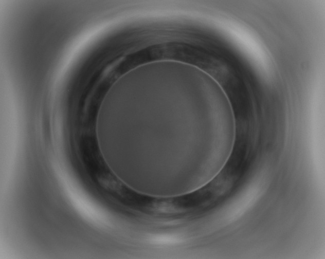 X0000113880526200910011135