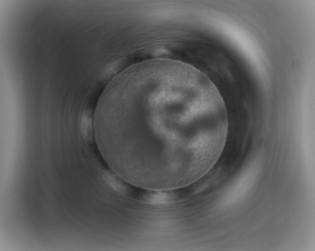 X0000113880527200910011135