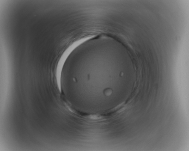 X0000113880528200910011135