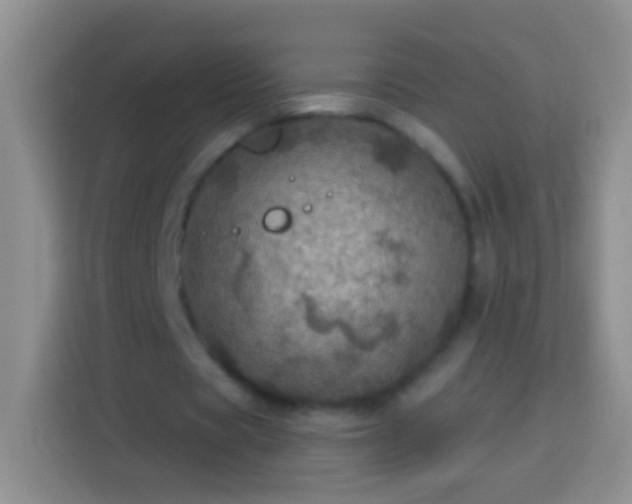 X0000113880529200910011134