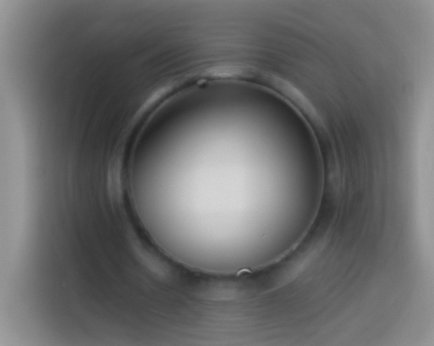 X0000113880530200910011134